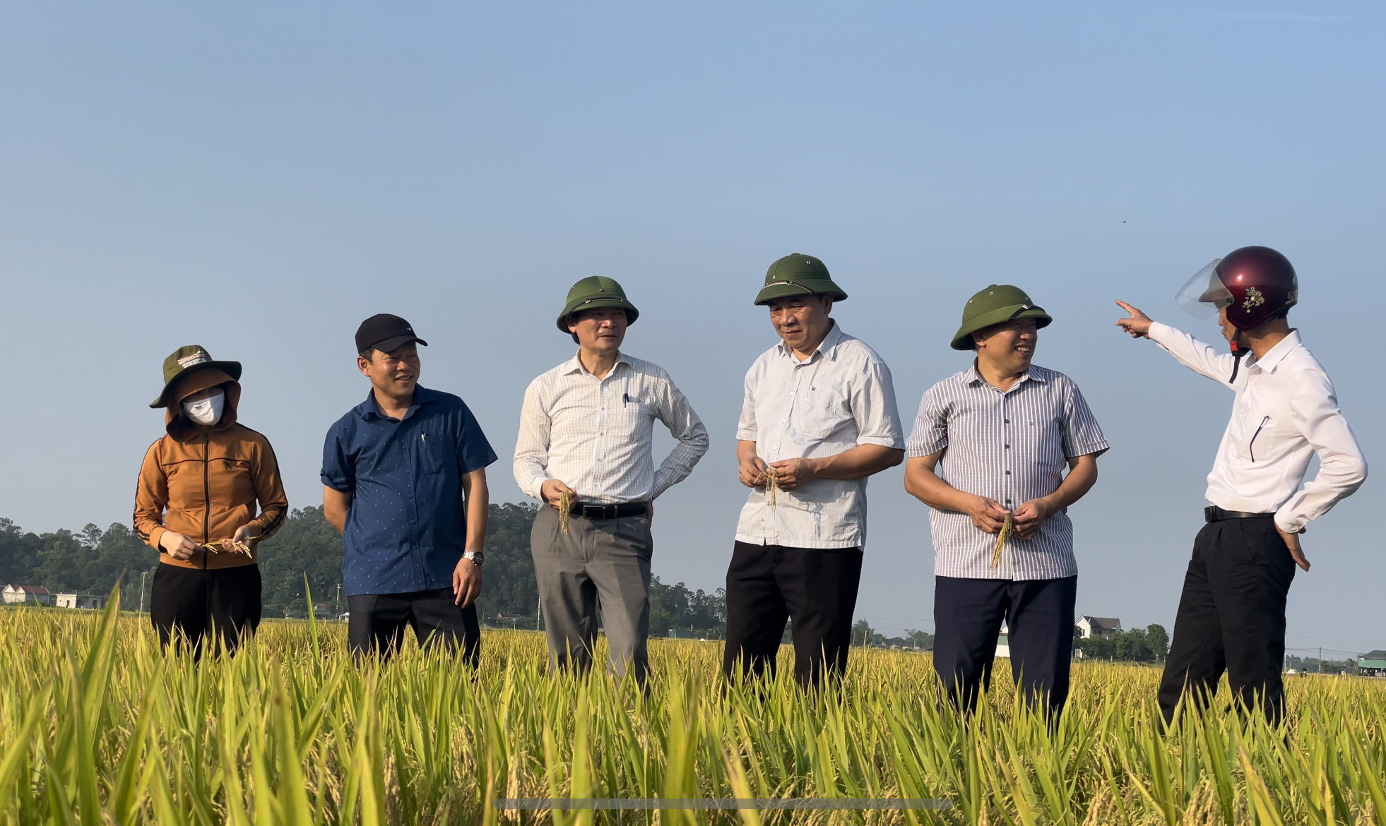 Giám đốc Sở Nông nghiệp và PTNT kiểm tra tiến độ thu hoạch lúa xuân 2023